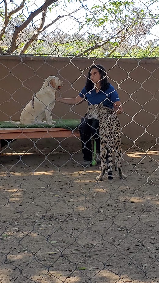 SD ZOO 39 DAY 16 CA 2019