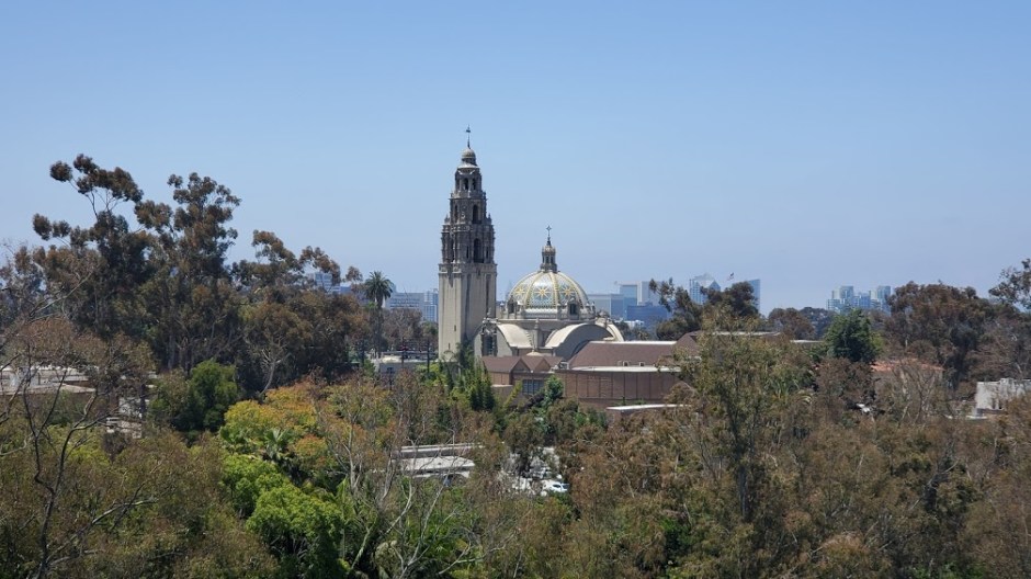 SD ZOO 9 DAY 16 CA 2019.jpg