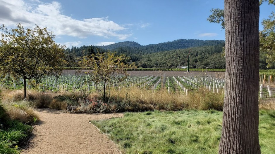 LARKMEAD 2 NAPA TRIP 2019 DAY 2