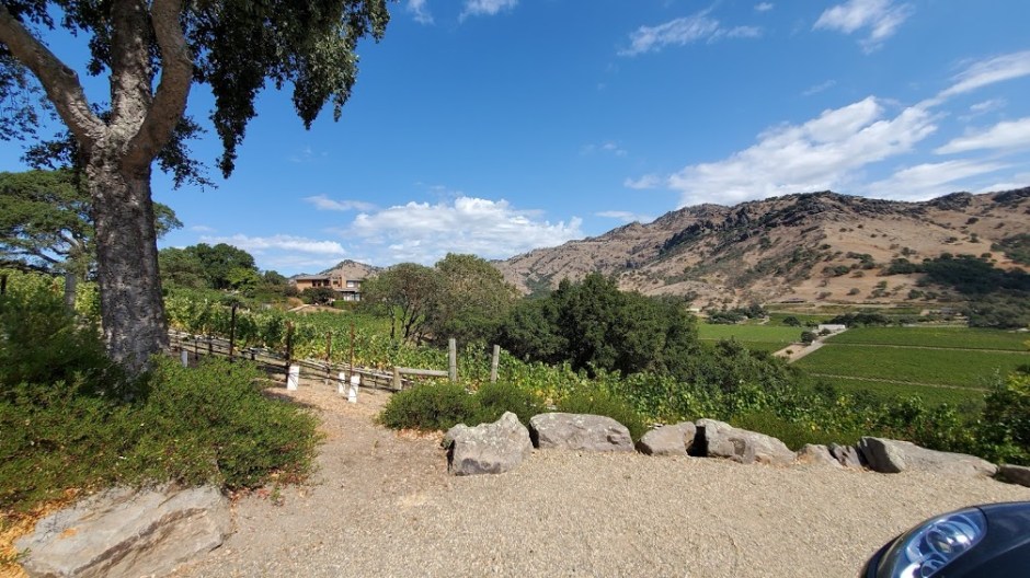 LINDSTROM 1 NAPA TRIP 2019 DAY 2.jpg