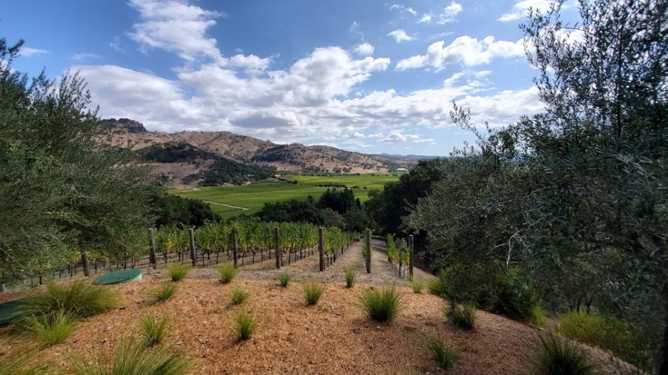 LINDSTROM 4 NAPA TRIP 2019 DAY 2