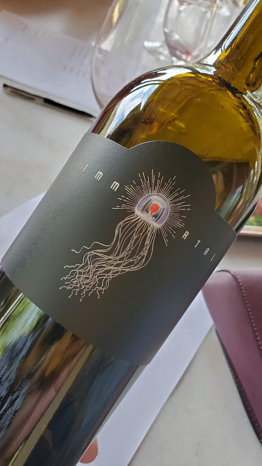 LINDSTROM 7 NAPA TRIP 2019 DAY 2.jpg