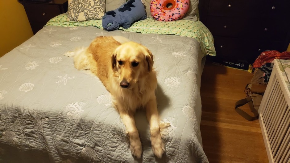 LILO 1  NOVEMBER 2019 FL TRIP 1ST POST.jpg