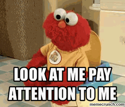 PAY ATTENTION NOVEMBER 2019 FL TRIP 2ND POST.gif