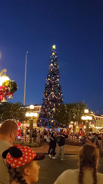MK TREE 1 NOVEMBER 2019 FL TRIP 4TH POST