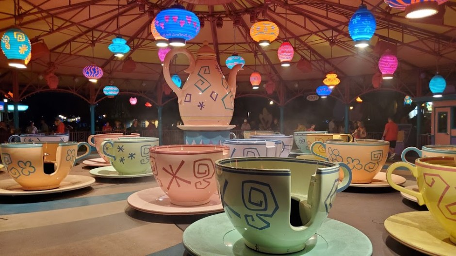 TEACUPS 1 NOVEMBER 2019 FL TRIP 4TH POST