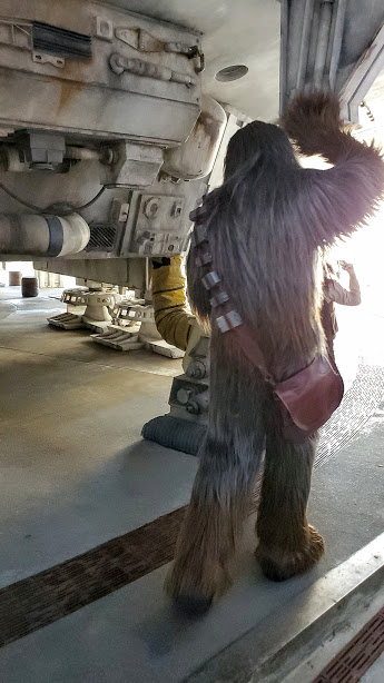 CHEWIE 1 NOVEMBER 2019 FL TRIP 5TH POST.jpg