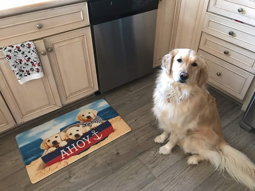 LILO 1 DAY 1 VERO BEACH FEB 2020