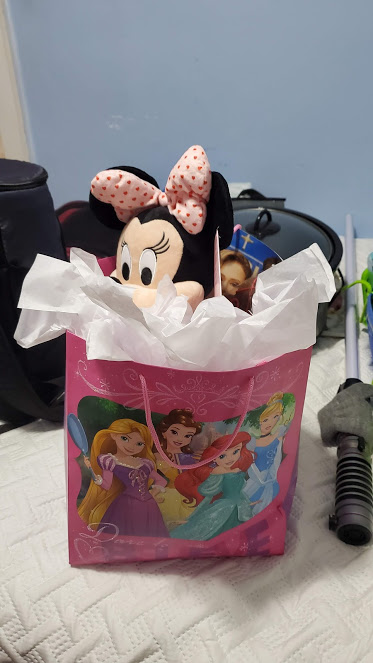 NICKIE AIRPORT BAG 1 VERO BEACH FEB 2020