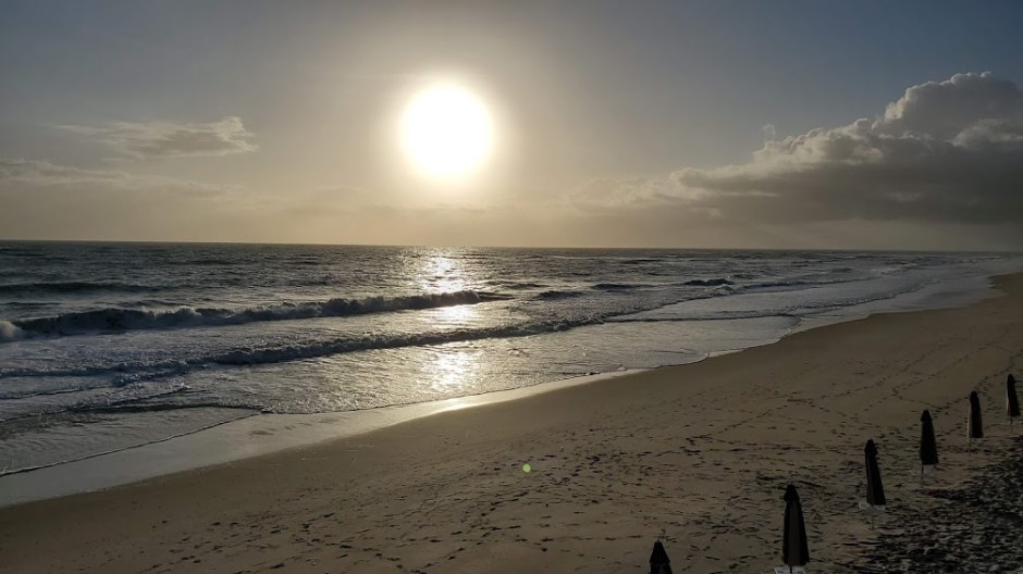 BEACH WALK 2 VERO BEACH DAY 4 FEB 2020