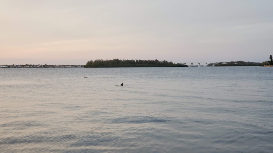 CRUISE 10 VERO BEACH DAY 6 FEB 2020