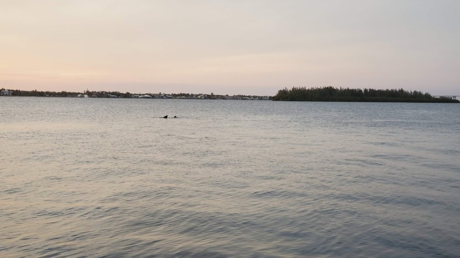 CRUISE 11 VERO BEACH DAY 6 FEB 2020