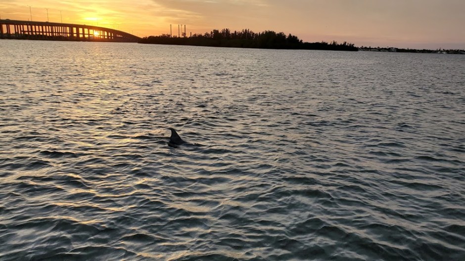 CRUISE 16 VERO BEACH DAY 6 FEB 2020