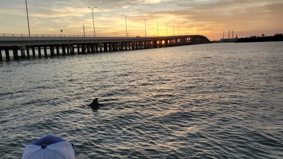 CRUISE 18 VERO BEACH DAY 6 FEB 2020