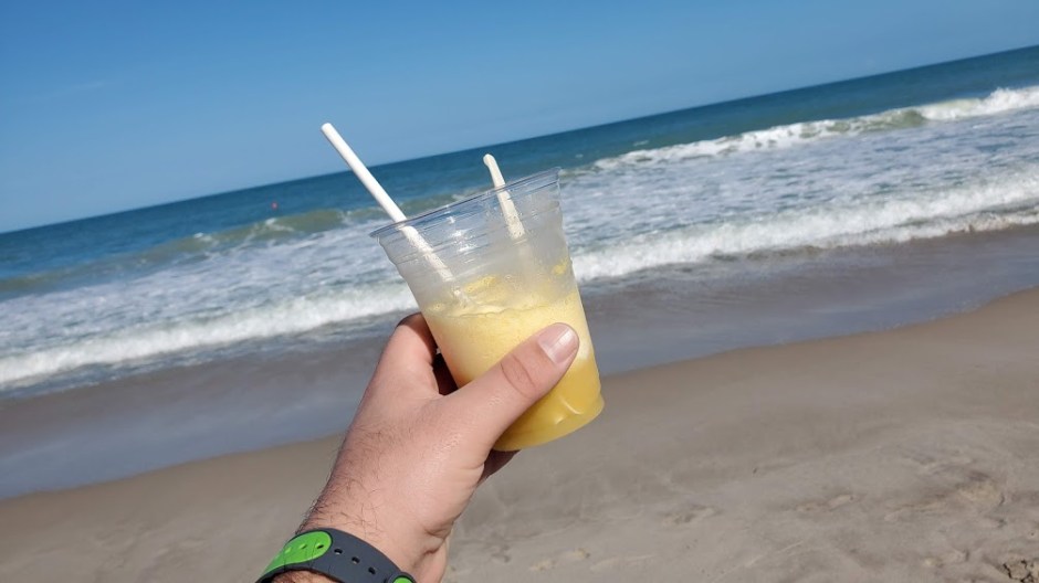 DOLE WHIP 2 VERO BEACH DAY 5 FEB 2020