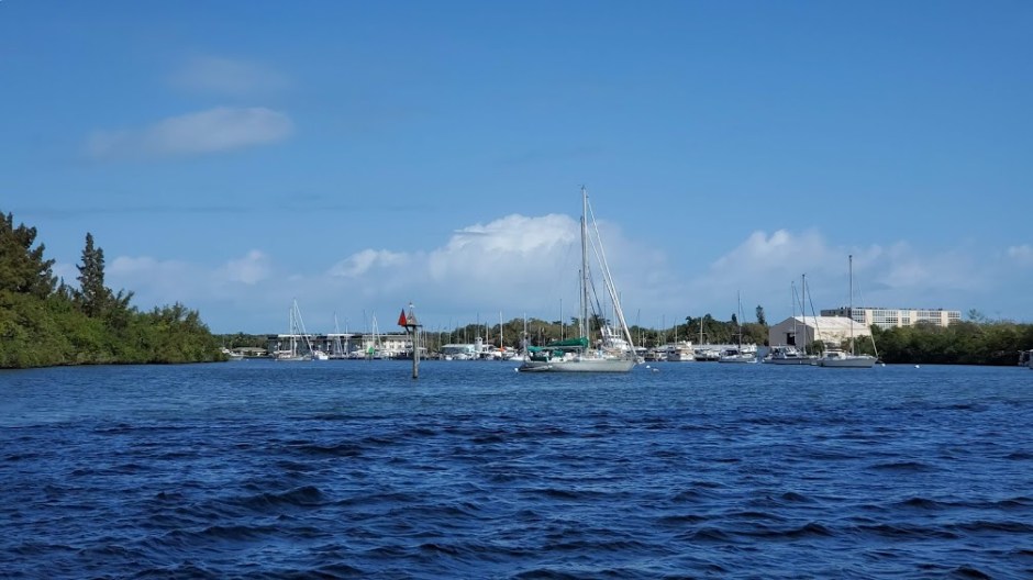 DOLPHIN CRUISE 5 VERO BEACH DAY 4 FEB 2020