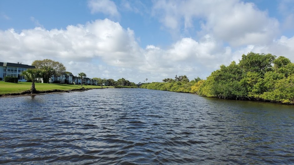 DOLPHIN CRUISE 8 VERO BEACH DAY 4 FEB 2020