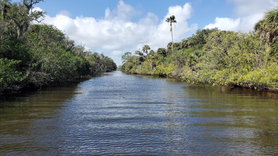 DOLPHIN CRUISE 9 VERO BEACH DAY 4 FEB 2020