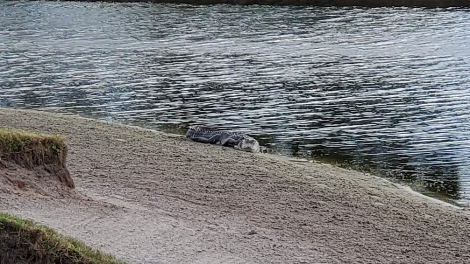 GOLF 10 VERO BEACH DAY 3 FEB 2020