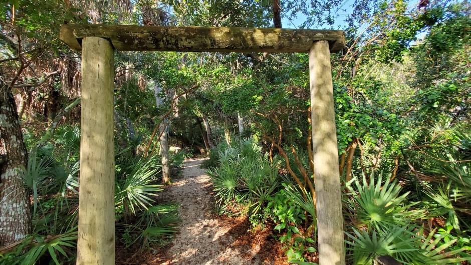 JUNGLE TRAIL 1 VERO BEACH DAY 5 FEB 2020