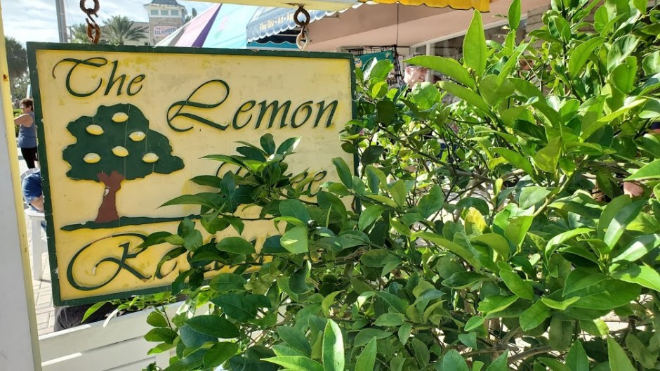LEMON TREE 1 VERO BEACH DAY 4 FEB 2020