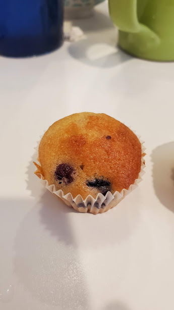 LEMON TREE 6 VERO BEACH DAY 4 FEB 2020