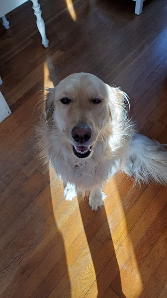 LILO 1 VERO BEACH DAY 6 FEB 2020